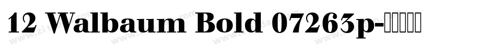 12 Walbaum Bold 07263p字体转换